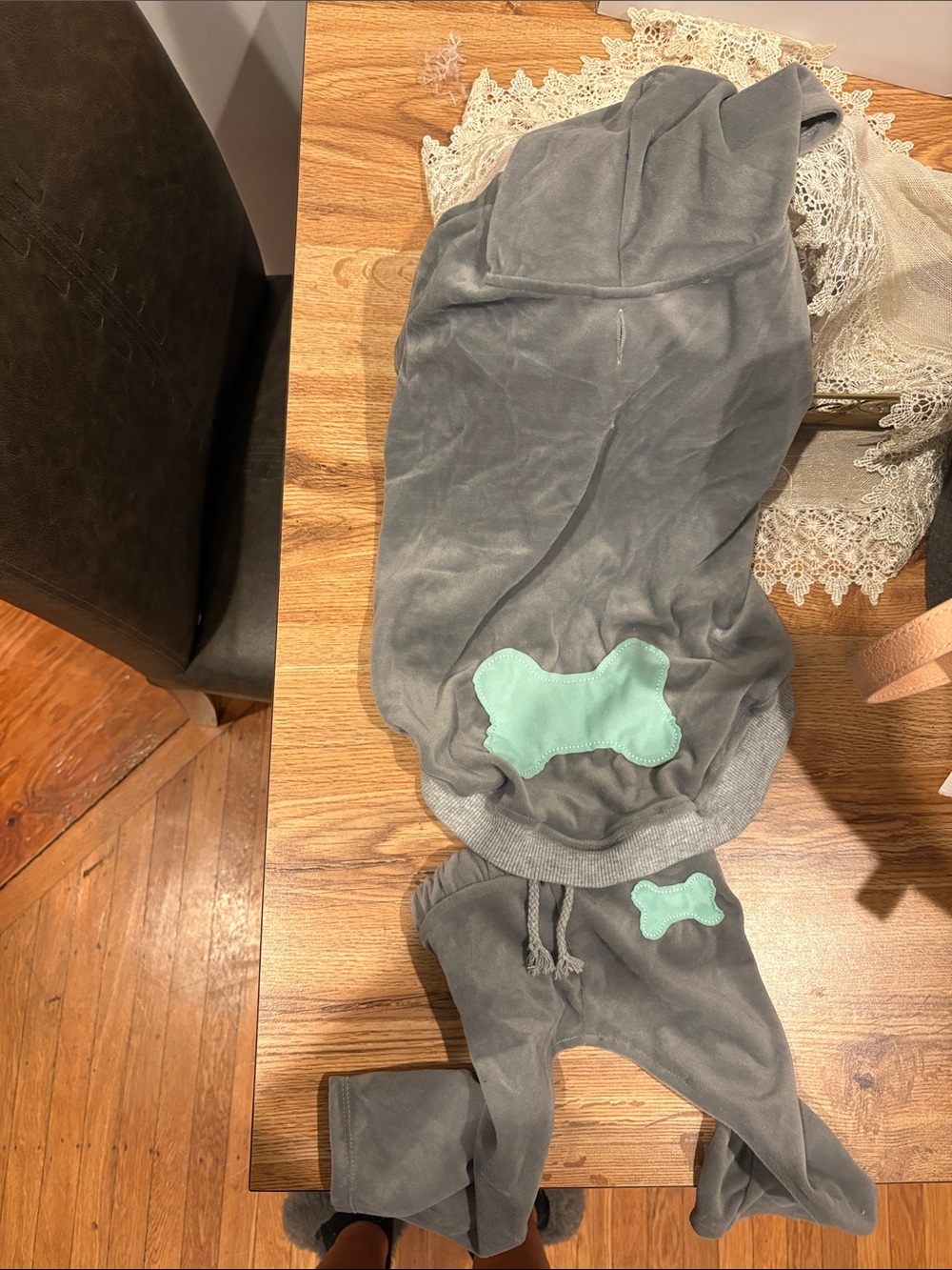 Gray Velour Pet hoodie pants set
